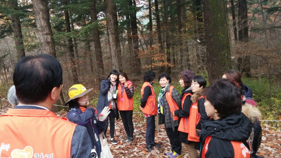 [] 2015 ȯƷ    ʴ롻