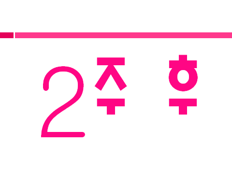 <> ȭâ  ~ ȭ  ǳ`^^*