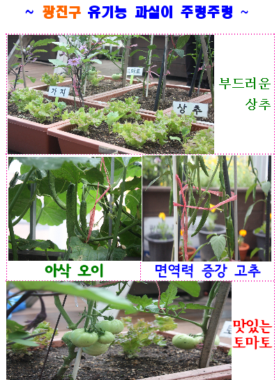 <> ޻찡 - ġ