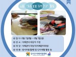 []6 ȣȣģ ʰ Ȱ