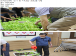 []  "    " α׷ -