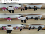 [] "  ̰ " δ