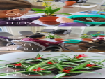 []ġȰ 
